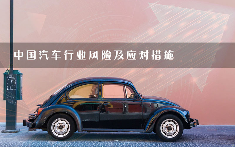 中國(guó)汽車(chē)行業(yè)風(fēng)險(xiǎn)及應(yīng)對(duì)措施.jpg